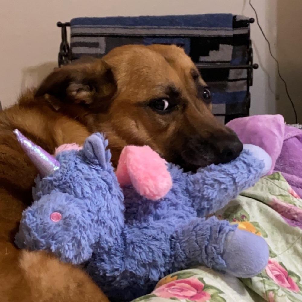 Meet your Posher, Leigh